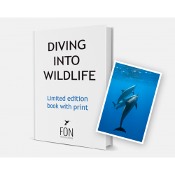 DIVING INTO WILDLIFE - Limited Edition