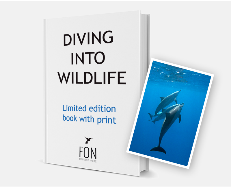 DIVING INTO WILDLIFE - Limited Edition