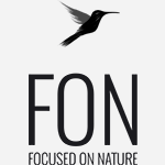 Focused On Nature